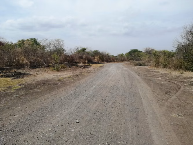 AG, SE VENDE FINCA ARROCERA EN MALACATOYA - Imagen 6