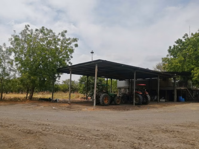 AG, SE VENDE FINCA ARROCERA EN MALACATOYA - Imagen 7