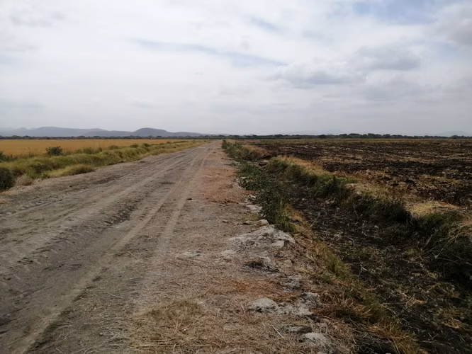 AG, SE VENDE FINCA ARROCERA EN MALACATOYA - Imagen 4