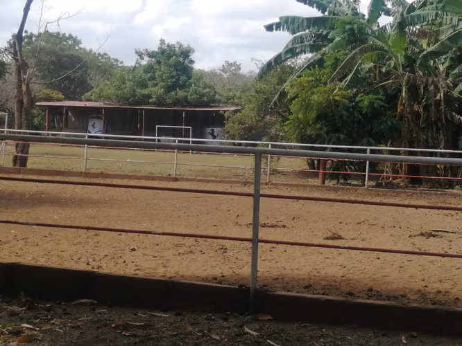 AG, SE VENDE FINCA DE 2 MANZANAS EN LAS FLORES - Imagen 4