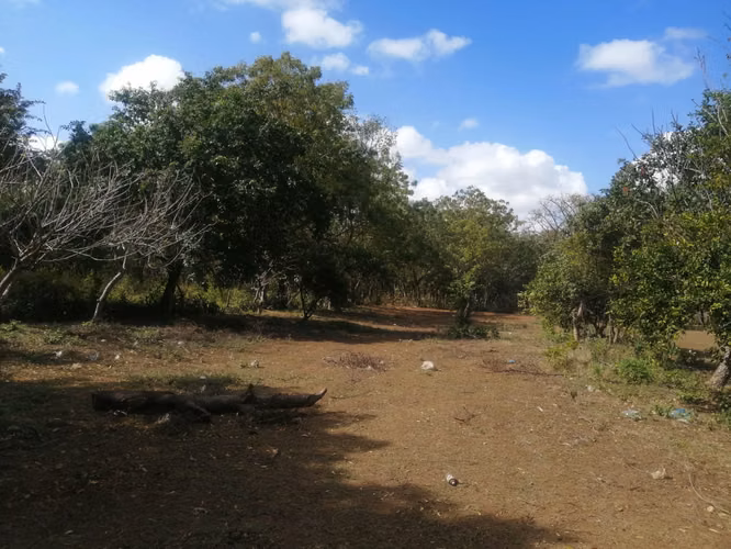 AG, SE VENDE FINCA DE 2 MANZANAS EN LAS FLORES - Imagen 10