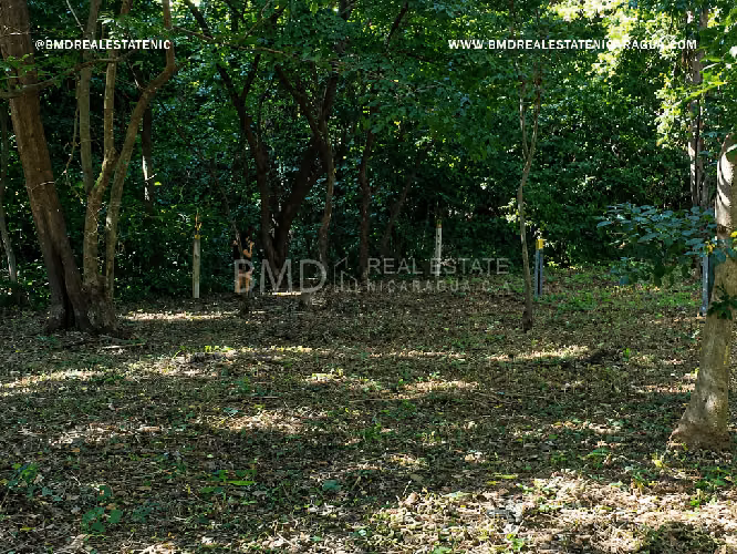 Terreno exclusivo y amplio espacio en entorno natural en la Estancia 5382 - Imagen 2