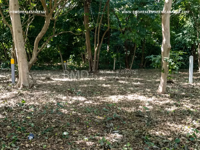 Terreno exclusivo y amplio espacio en entorno natural en la Estancia 5382 - Imagen 4