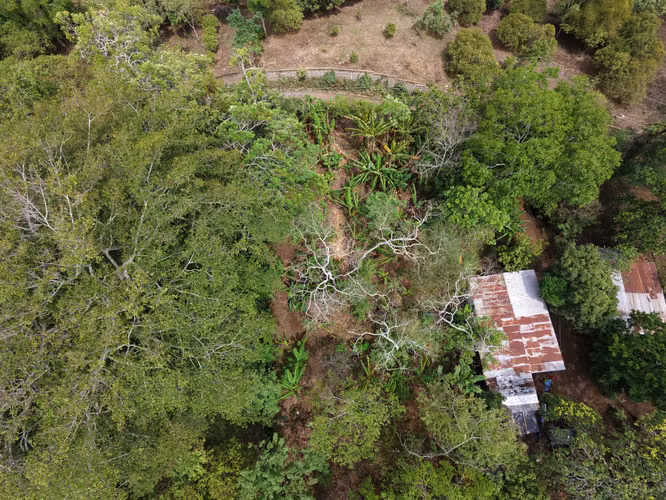 EG. Venta de terreno en Masatepe - Imagen 4