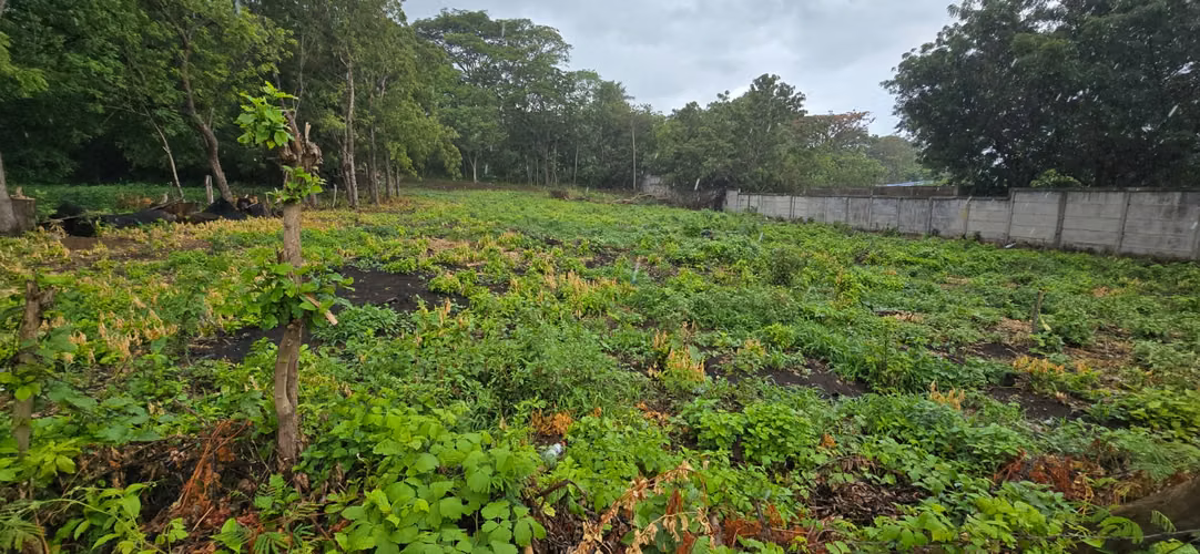 Venta de Terreno en Carretera Vieja a Leon - Imagen 17