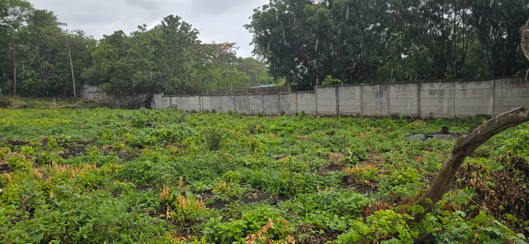 Venta de Terreno en Carretera Vieja a Leon - Imagen 6