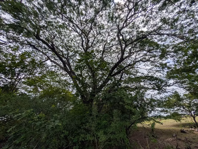 Venta de Finca en Leon - Imagen 3