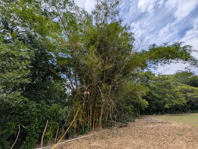 Venta de Finca en Leon - Imagen 7