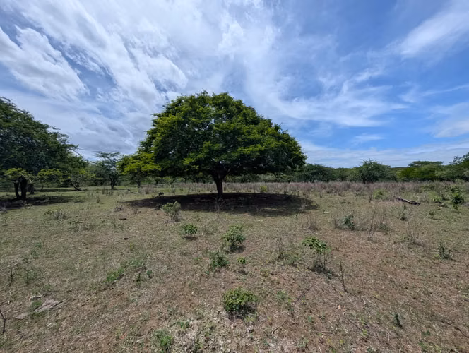 Venta de Finca en Leon - Imagen 6