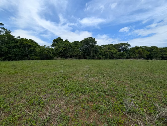Venta de Finca en Leon - Imagen 2