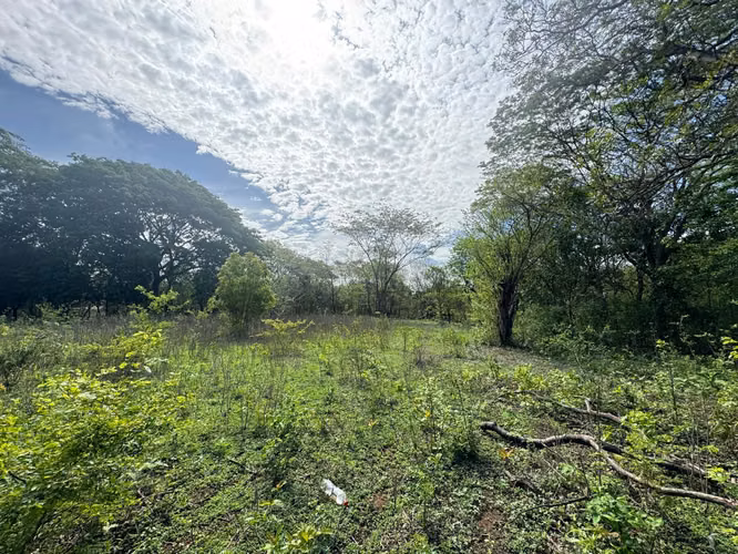 Venta de Terreno en Las Jaguitas - Imagen 13