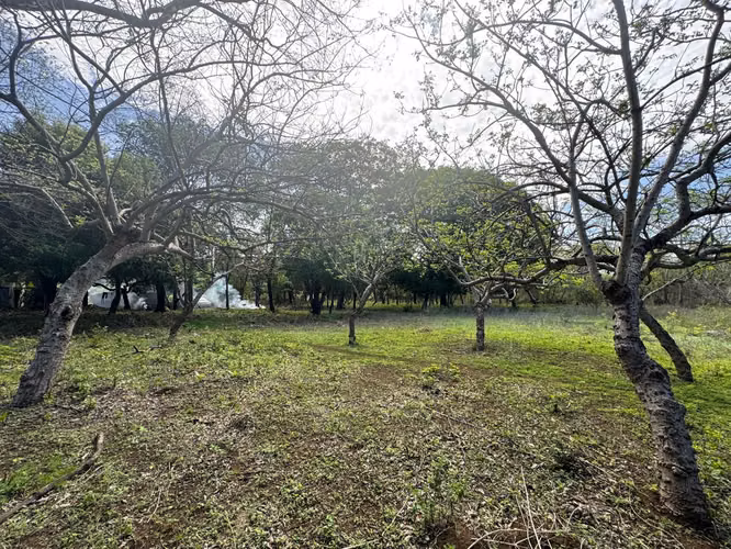 Venta de Terreno en Las Jaguitas - Imagen 12
