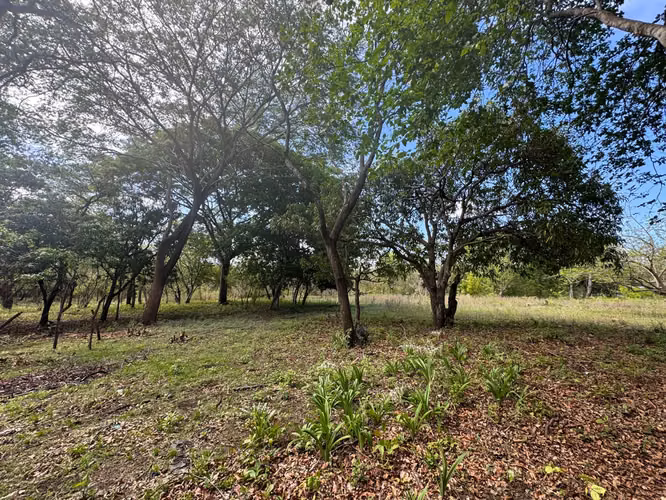 Venta de Terreno en Las Jaguitas - Imagen 15