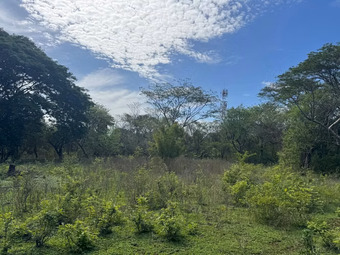 Venta de Terreno en Las Jaguitas - Imagen 11