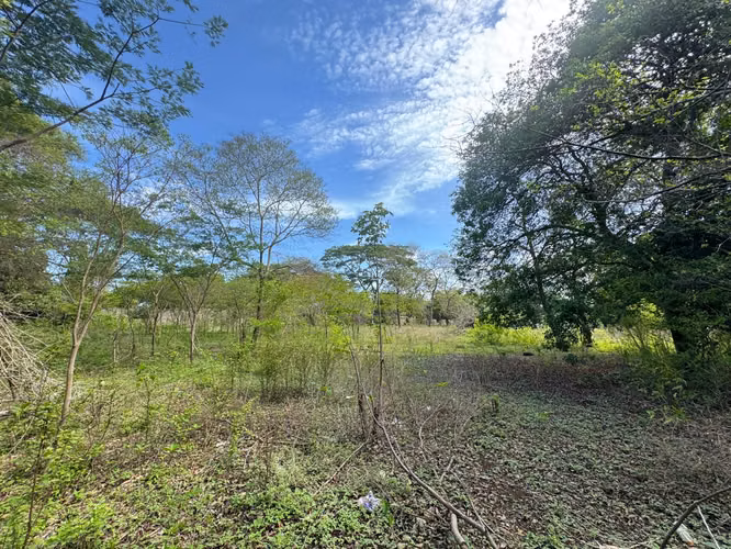 Venta de Terreno en Las Jaguitas - Imagen 4