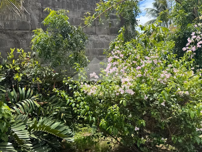 Casa en Venta &amp; Renta Carretera Sur, Managua - Imagen 14