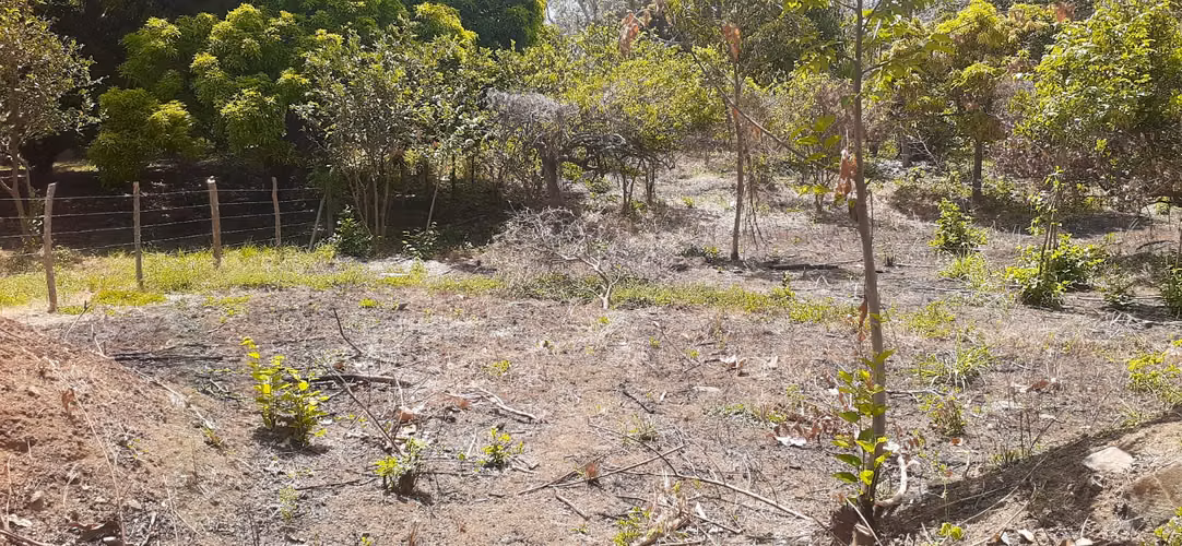 TERRENO EN VENTA – GRANADA, NICARAGUA - Imagen 3