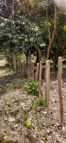 TERRENO EN VENTA – GRANADA, NICARAGUA - Imagen 5