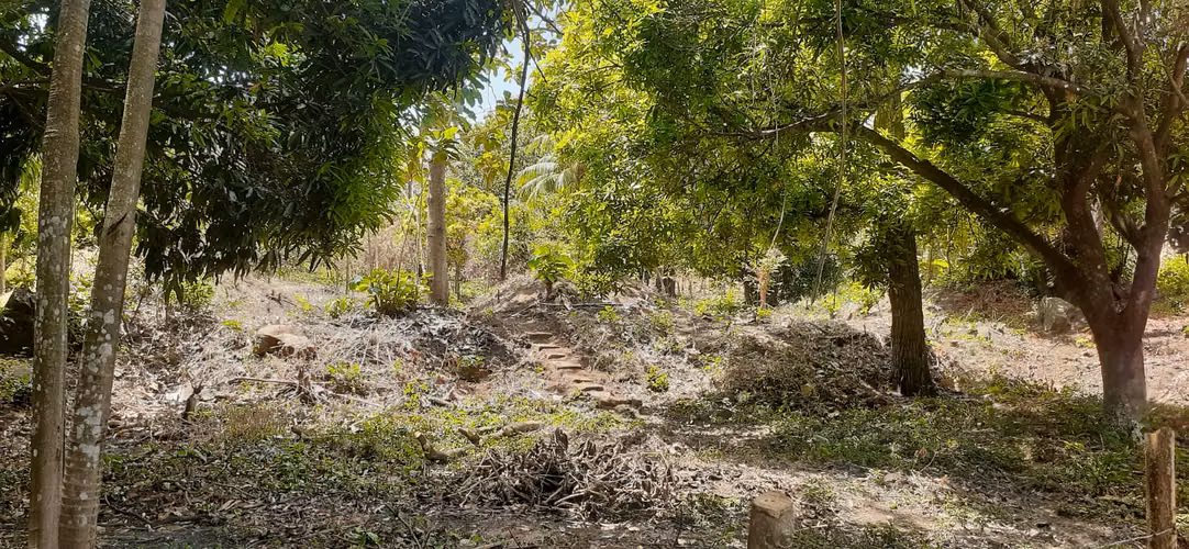 TERRENO EN VENTA – GRANADA, NICARAGUA - Imagen 8