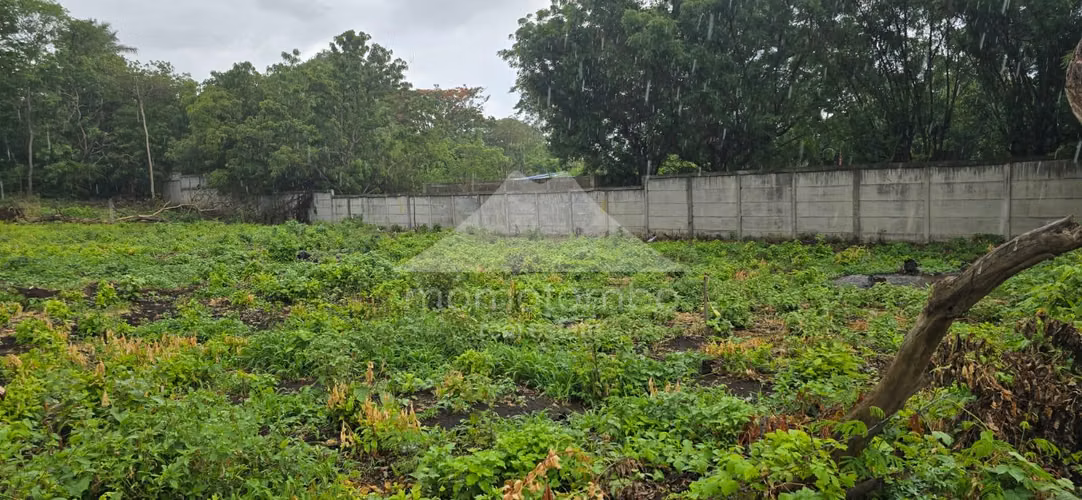 Terreno en Venta Carretera Vieja A Leon, Managua - Imagen 3