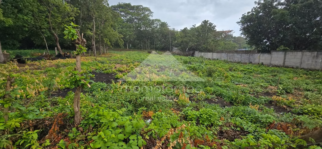 Terreno en Venta Carretera Vieja A Leon, Managua - Imagen 2