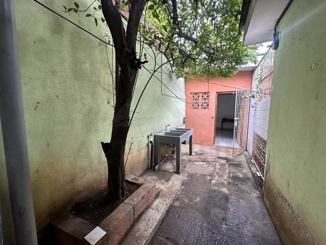 RENTA DE APARTAMENTO EN ALTAMIRA
