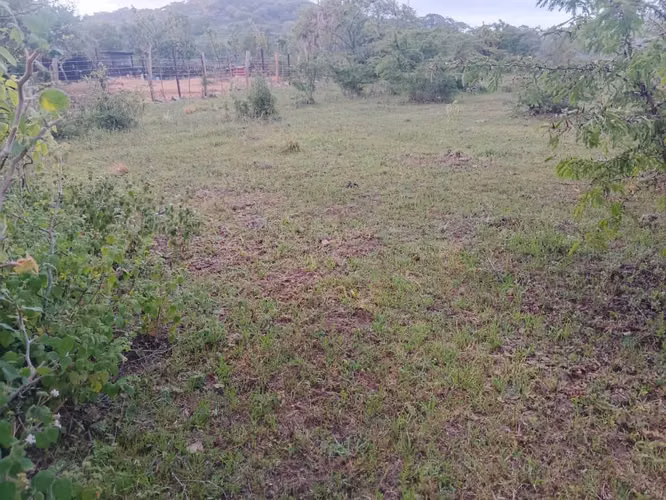 Se vende solar