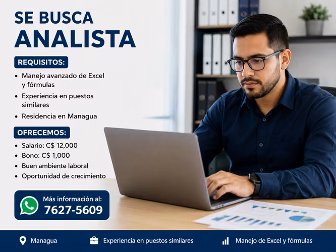 ANALISTA