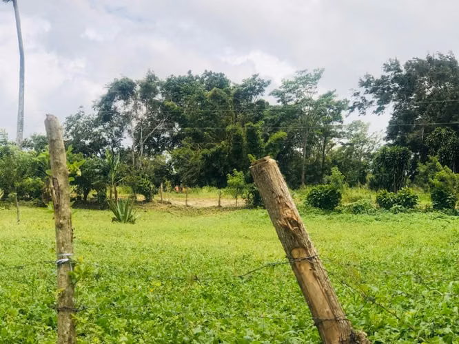 Terrenos
