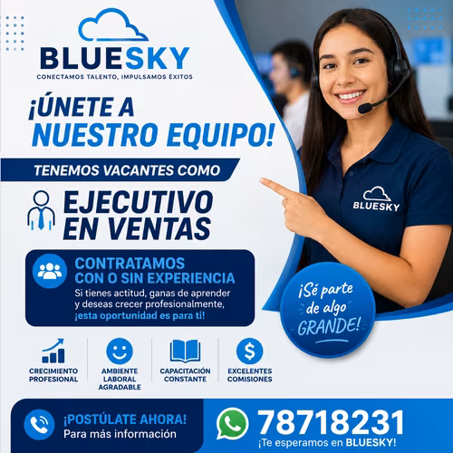 EJECUTIVO EN VENTAS Y COBRANZA