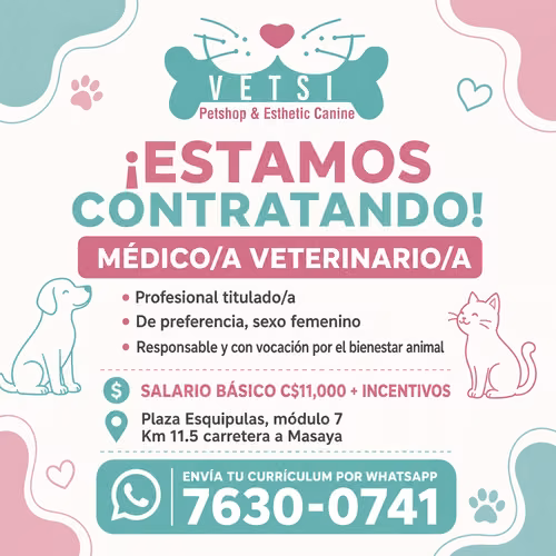 MEDICO VETERINARIO