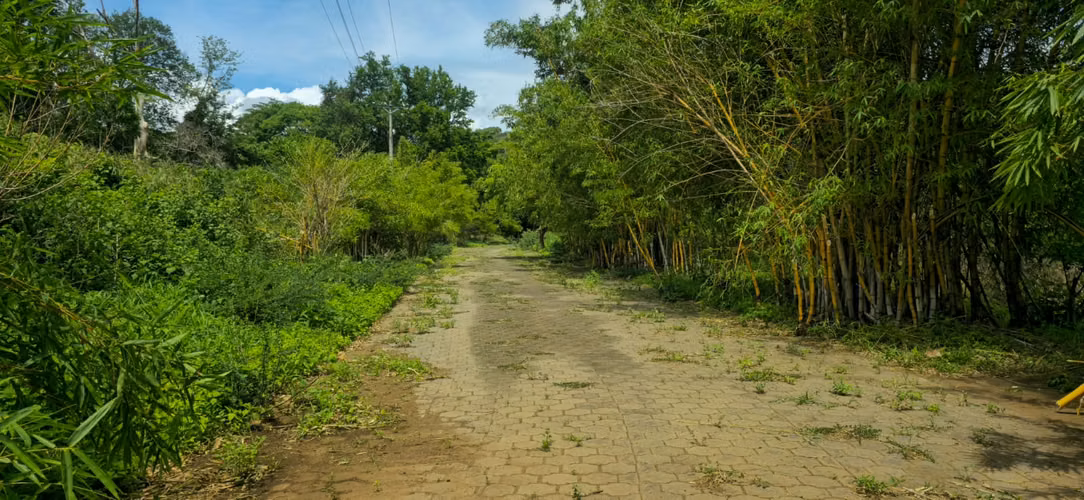 Se Venden 11 lotes ubicados en una zona privilegiada (3 km al Sur del Club Terraza). CV - Imagen 19