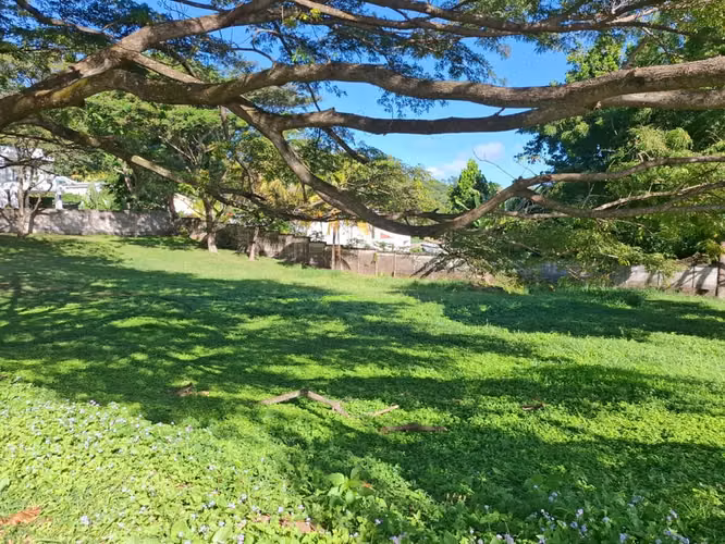 Terreno en Venta en Villa Fontana Sur | 1,500 v² | US$140,000 Negociable - Imagen 8