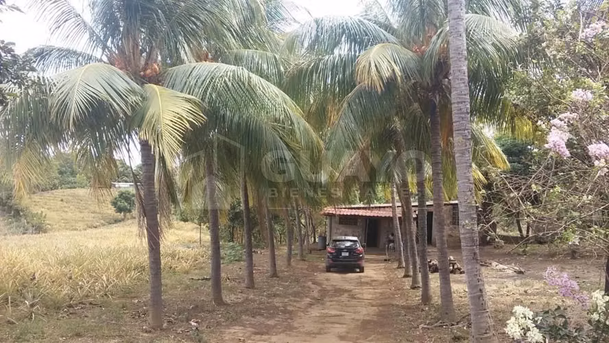 Terreno en venta en Ticuantepe