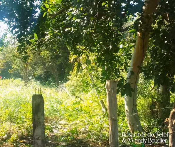 Oportunidad de inversión | Terreno en Carretera Masaya – Tipitapa - Imagen 2