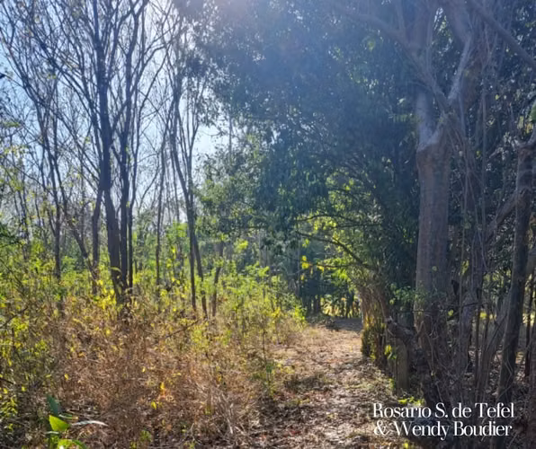 Oportunidad de inversión | Terreno en Carretera Masaya – Tipitapa - Imagen 7