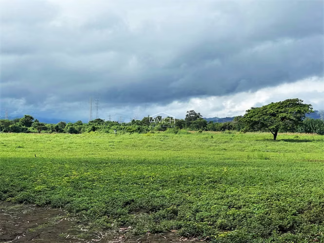 AM-Se Vende Terreno en Carretera Masaya para Desarrollo