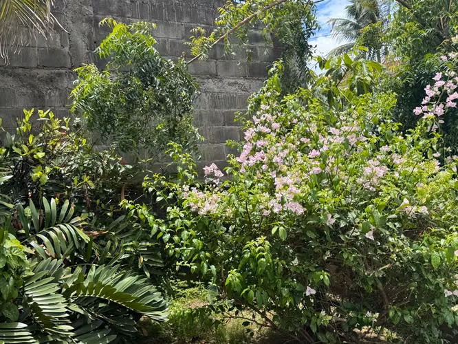 Alquiler de Casa en Carretera Sur - Imagen 16