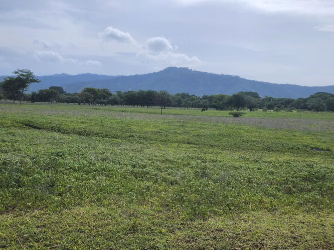 Oportunidad Única de Inversión en Carretera Masaya. - Imagen 12