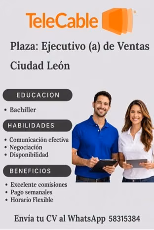 Ejecutivo de Venta