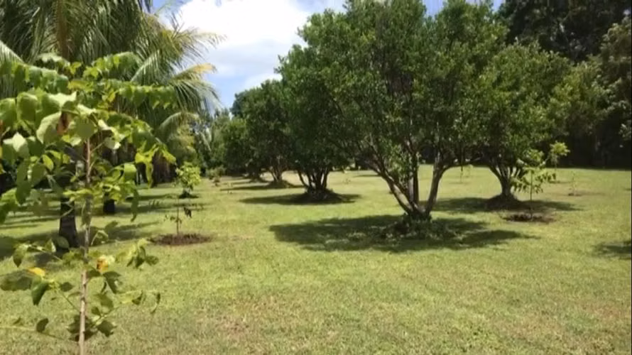 Lote de terreno de 1/2 manzana a orilla de Carretera Panamericana .