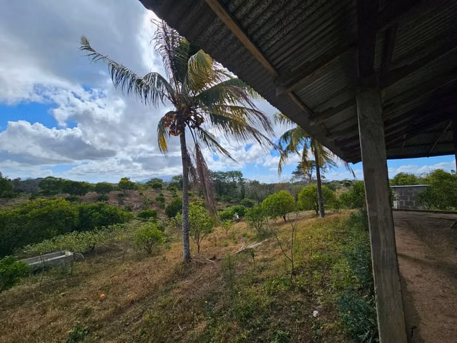 AG. SE VENDE FINCA LAS CRUCITAS NIQUIHONMO - Imagen 4