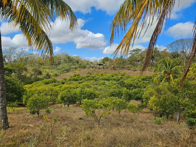 AG. SE VENDE FINCA LAS CRUCITAS NIQUIHONMO - Imagen 2