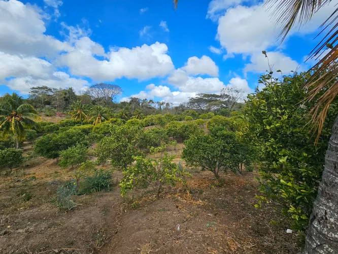 AG. SE VENDE FINCA LAS CRUCITAS NIQUIHONMO - Imagen 5