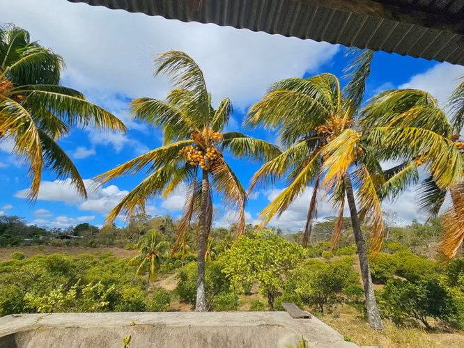 AG. SE VENDE FINCA LAS CRUCITAS NIQUIHONMO - Imagen 13