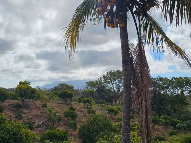 AG. SE VENDE FINCA LAS CRUCITAS NIQUIHONMO - Imagen 7