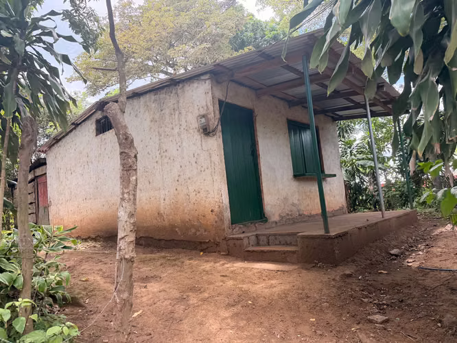 Se vende finca en San marcos, GANGA!! 4.8 manzanas - Imagen 3
