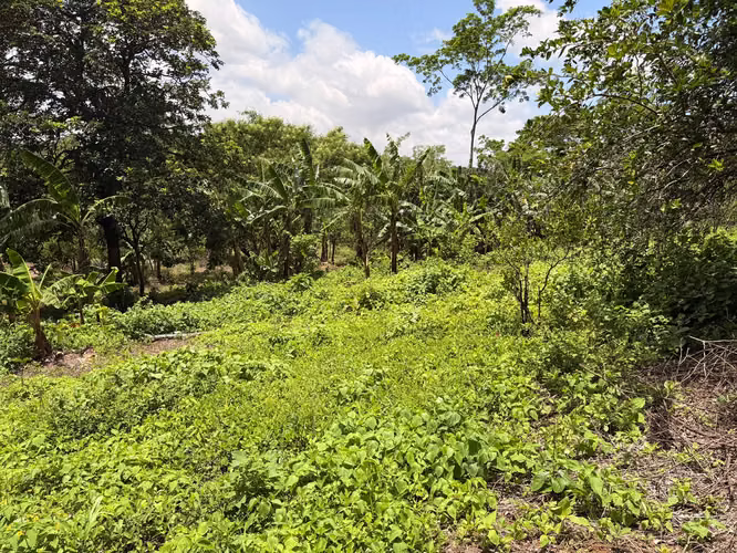 Se vende finca en San marcos, GANGA!! 4.8 manzanas