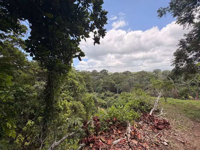 Se vende finca en San marcos, GANGA!! 4.8 manzanas - Imagen 7