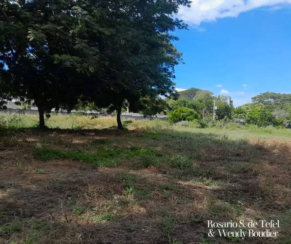 Terrenos en zona industrial estratégica – Managua - Imagen 13